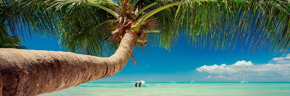 Dominican Dreaming - background banner